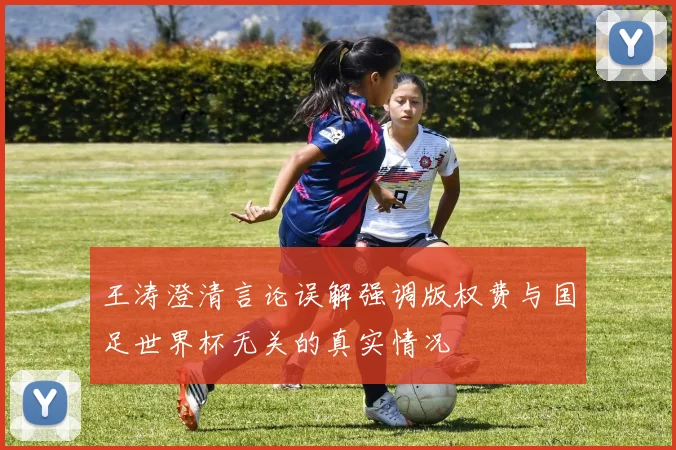 王涛澄清言论误解强调版权费与国足世界杯无关的真实情况