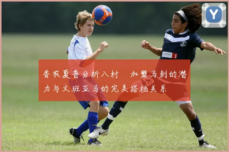 香农夏普分析八村塁加盟马刺的潜力与文班亚马的完美搭档关系